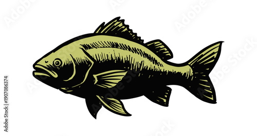 Vibrant large mouth bass fish swimming in water with dynamic fins