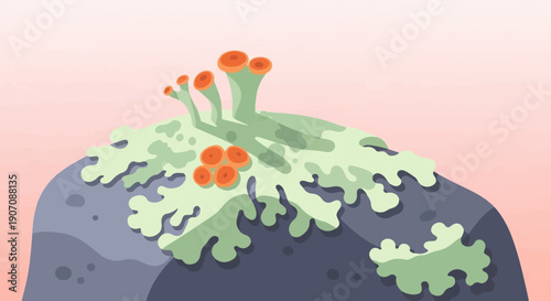 Stylized illustration of lichen with coral-like fruiting bodies on a rock