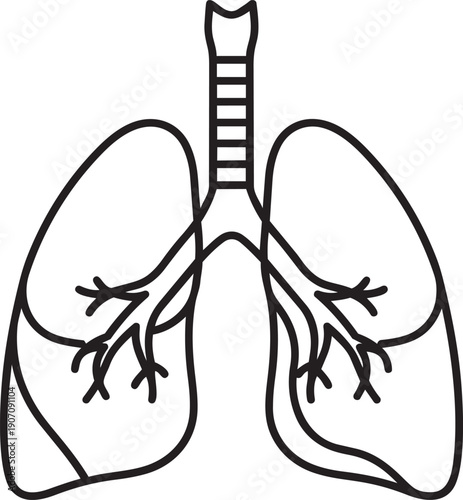 Anatomy lungs vector icon, health and internal organ silhouette for medical design