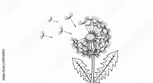 Stylized drawing of a dandelion with seeds blowing in the wind