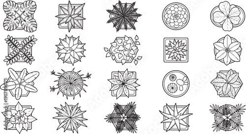 Geometric botanical illustrations showcases the diverse shapes and intricate designs of plants and flowers. A botanical illustration, top view.