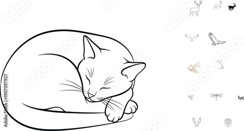 Cat sleeping peacefully in a curled up position