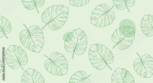 Seamless botanical pattern with delicate green line drawings of monstera leaves on a light mint background for tropical nature themed design.