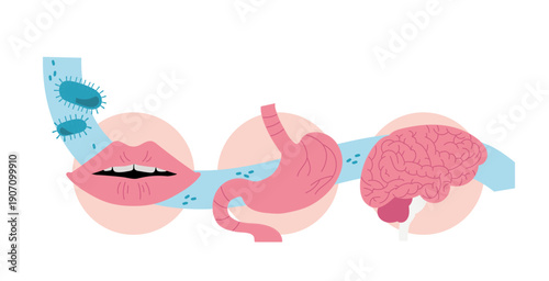 Illustration pédagogique montrant le lien entre la santé buccale et la santé globale du corps