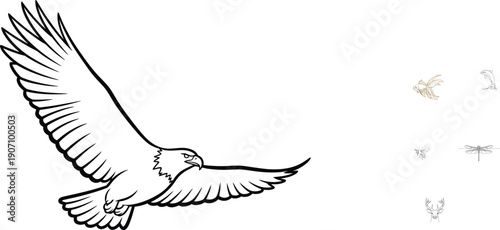 Bird flying in the air with outstretched wings
