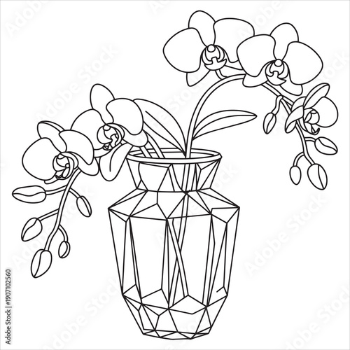 Orchid flowers inside the vase illustration vector style coloring book 