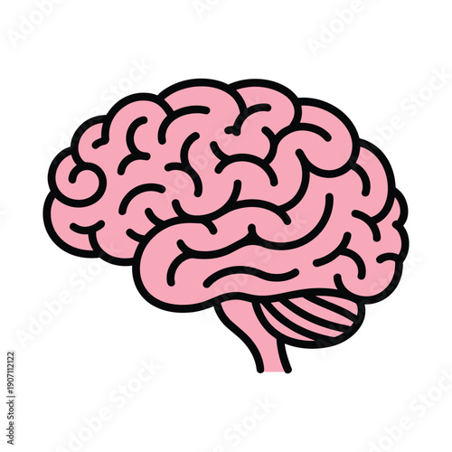 Simple pink brain illustration in profile view