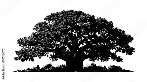 A stark silhouette of a large tree with full foliage, set against a pristine white background