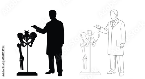 Anatomy illustration featuring a silhouette and line drawing of a human skeleton