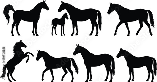 Black horse silhouettes set featuring stallions galloping rearing and standing with a small foal isolated on a clean white background