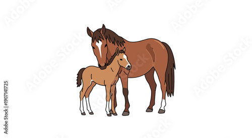 A protective brown mare stands close to her light brown foal, gently nuzzling its head on a white background.