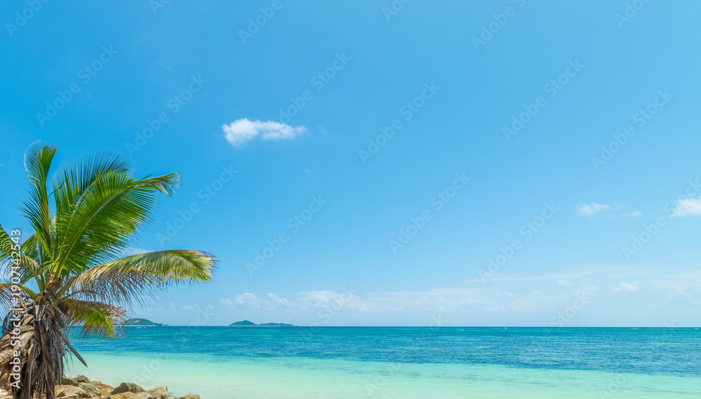 Fototapeta premium Tropical Beach with Palm Leaves, Blue Sky and Turquoise Sea
