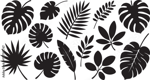 tropical leaf silhouette icon set black shapes, botanical jungle leaf symbols isolated white, nature foliage graphic elements collection