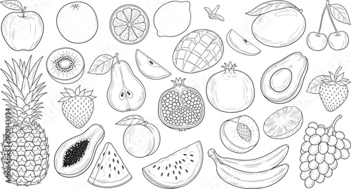 Set of elegant hand drawn tropical and summer fruit sketches including pineapple watermelon mango and pomegranate for organic botanical vector design