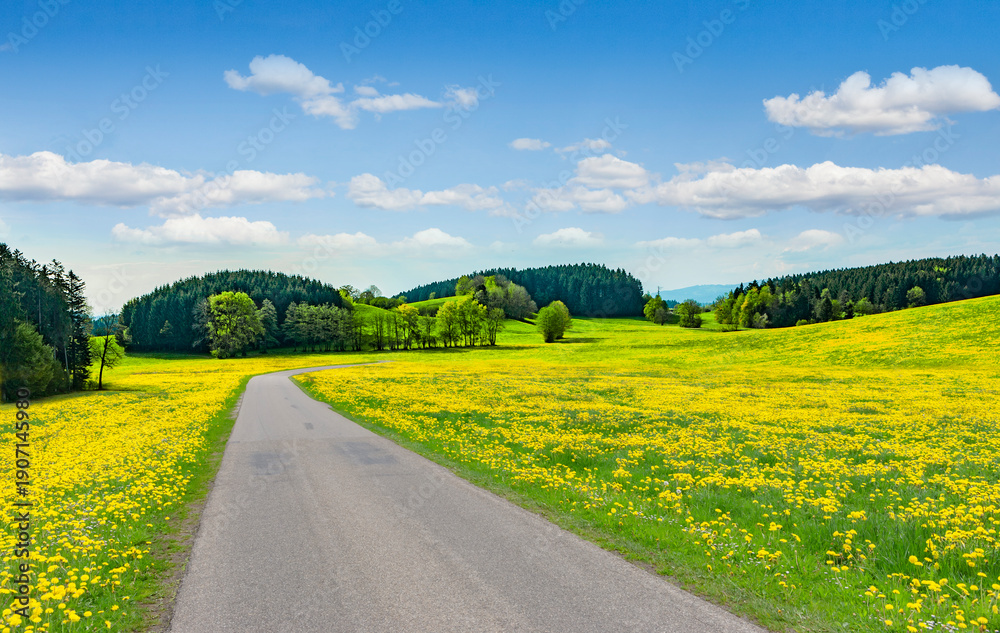 Naklejka premium Landstrasse durch eine Landschaft im Frühling