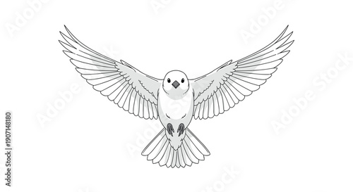 A detailed monochrome illustration of a white bird with outstretched wings mid-flight, looking directly forward against a pure white background.
