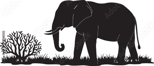 Set of Elephant logo. Icon design. Template elements