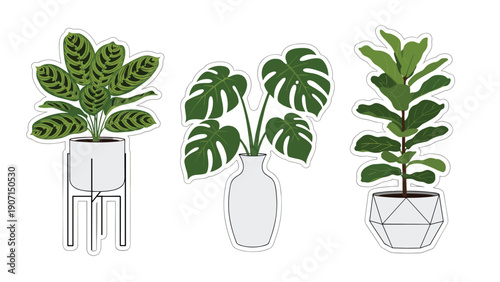 Set of three popular indoor house plants including monstera and fiddle leaf fig shown as decorative stickers.