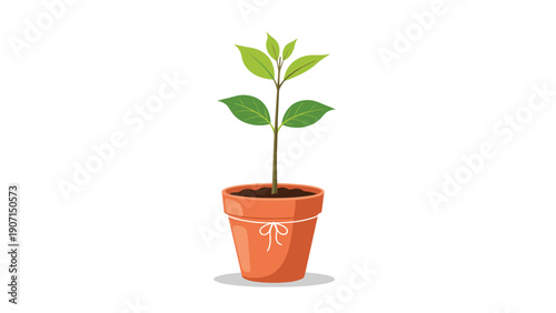 Young green seedling growing in a classic terracotta clay pot filled with dark soil on a clean white background.