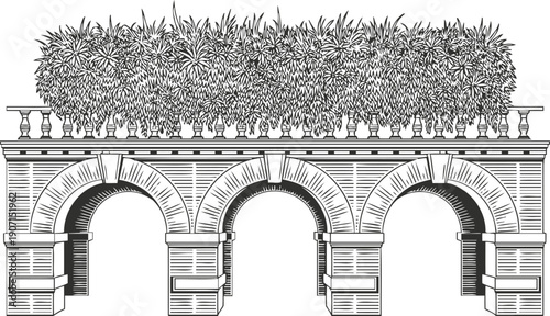 Classic stone garden wall with arches and lush dense plants on top detailed vintage illustration