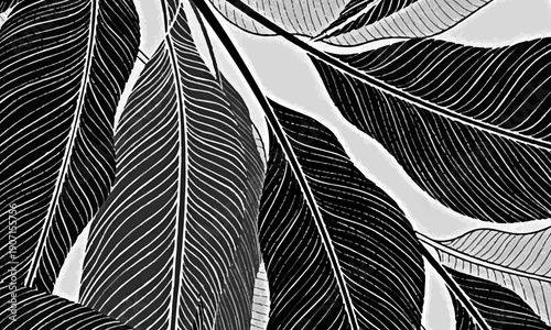Monochrome tropical leaf line art veins pattern background. vintage artistic background.