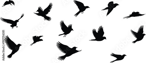 Collection of black flying bird silhouettes in various poses, ideal for wildlife icons, nature graphics, freedom concepts, and minimal design