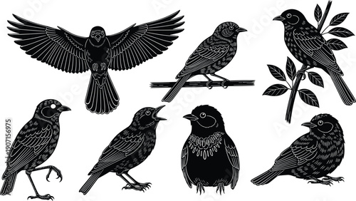 Silhouette Illustrations of Birds in Flight, Perched on Branches, and Standing Poses, Artistic Ornithology Nature Wildlife Vector Design