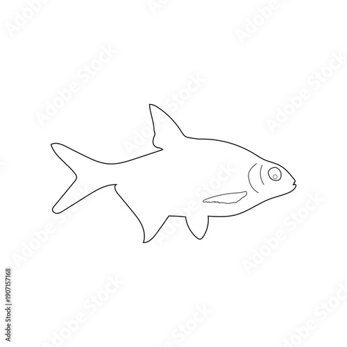 Elegant Fish Line Sketch Minimal Outline Illustration.