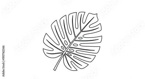Elegant black line drawing of single monstera deliciosa leaf shows intricate details of tropical foliage on clean white background.