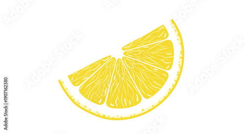 Detailed vector illustration of single yellow lemon slice shows juicy segments and textured peel isolated on white background space.