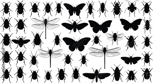 Black Silhouette Illustration of Various Insects Including Beetles, Butterflies, Dragonflies, and Flies Depicting Nature, Diversity, and Wildlife Concept