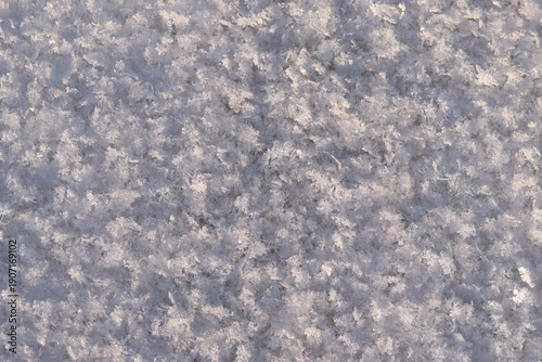 Photography White snow with snowflakes sparkling in the sun's rays