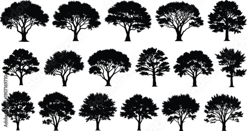 Black Silhouette Illustration of Eighteen Different Tree Designs Depicting Varied Shapes, Branch Structures, Canopy Patterns, and Nature Concept