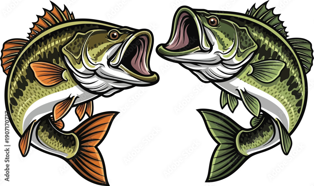 Φωτογραφία Bass Fish Illustration Set, Jumping Freshwater Fish Cartoon Vector for Fishing D