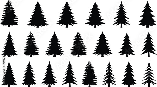 Set of twenty-one evergreen pine and fir tree silhouettes for nature landscape design, forest elements isolated on white background icons
