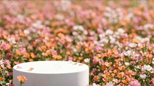 White product podium surrounded by vibrant pink and orange blooming flowers in a sunlit outdoor garden