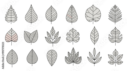 Grid of various tree leaf types in simple line art style with subtle color highlights for botanical and nature designs.