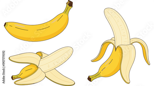 Banana fruit silhouette icons, peeled unpeeled vector illustration, tropical food design set, healthy snack nutrition art flat vector