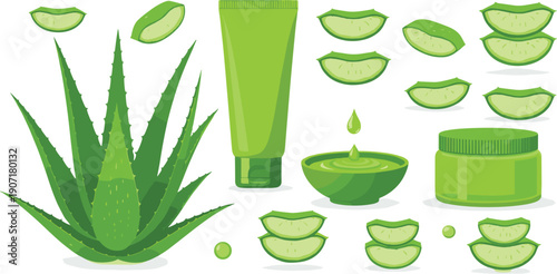 Organic aloe vera skincare vector set featuring green medicinal plant leaves sliced pieces juice bowl cosmetic cream jar and lotion tube for beauty.