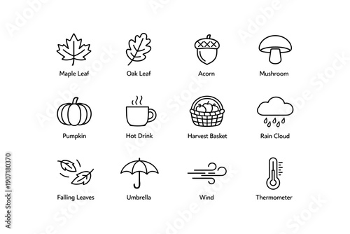 Autumn icons set: leaves, acorn, mushroom, pumpkin, hot drink, basket, rain cloud