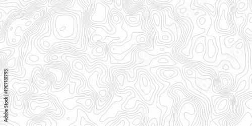 Minimal white line geometric grid outline curve counter map and wavy topography relief discovery area white, black line texture background.