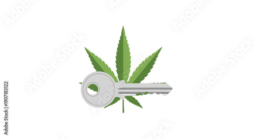 A single silver house key is positioned in front of a vibrant green cannabis leaf against a white background.