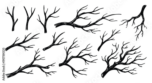 Bare tree branches vector collection of hand drawn silhouette twigs in a black ink sketch style. An illustration set for landscape design plans, seasonal forest art and Halloween themes.