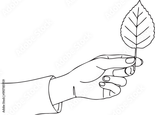 Delicate line drawing of a human hand gently holding a single detailed leaf symbolizing nature growth and the fragility