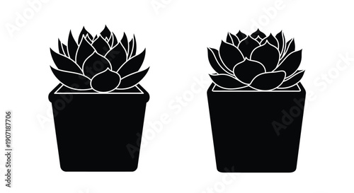 Two potted succulent plants depicted in a striking black silhouette