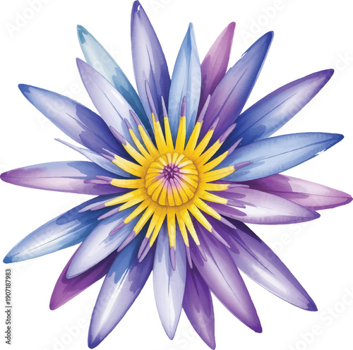 lotus flower isolated on white background