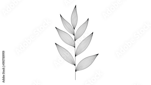 Simple and elegant black and white line art illustration of a single leafy branch with detailed vein patterns on each leaf.