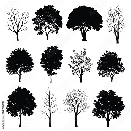 Collection of diverse tree silhouettes against a stark white background