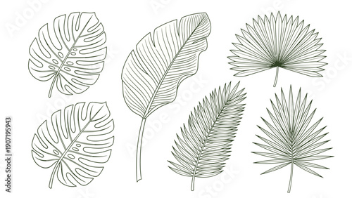 Set of six tropical leaf illustrations including monstera palm and banana leaves rendered in a detailed black and white etched style.