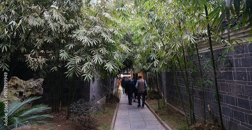 people walking through the bamboo